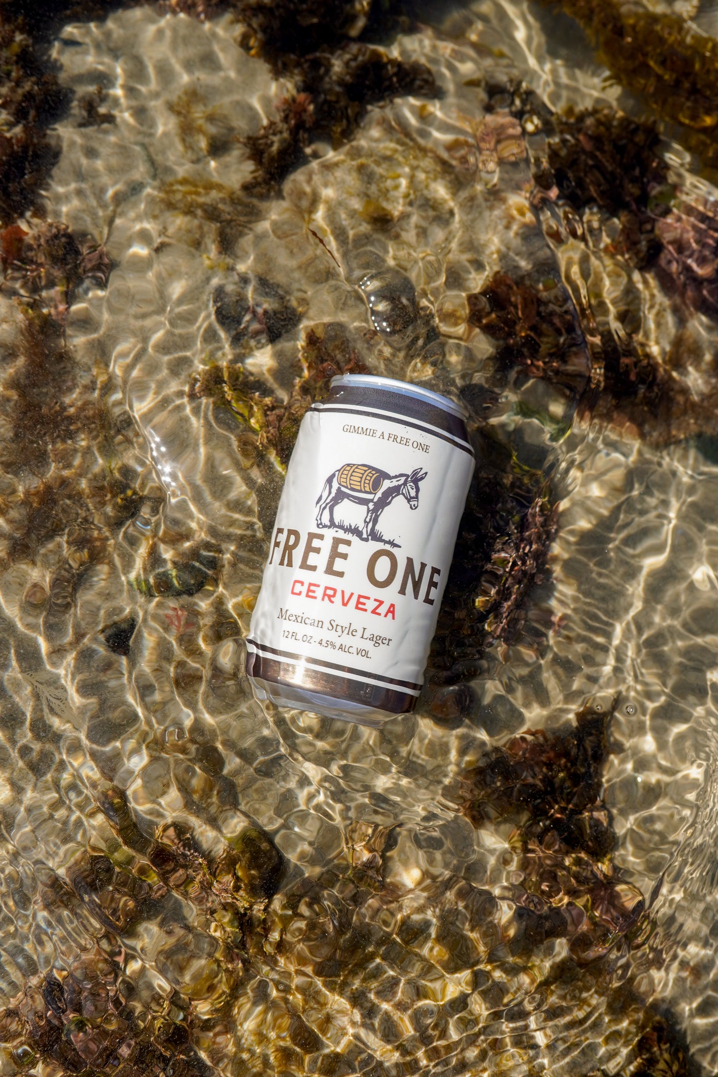 Free One lifestyle